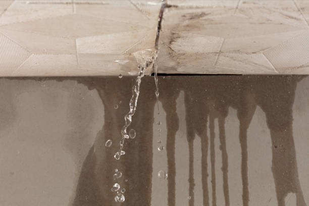 Professional Structural Drying technician working in Chandler, TX
